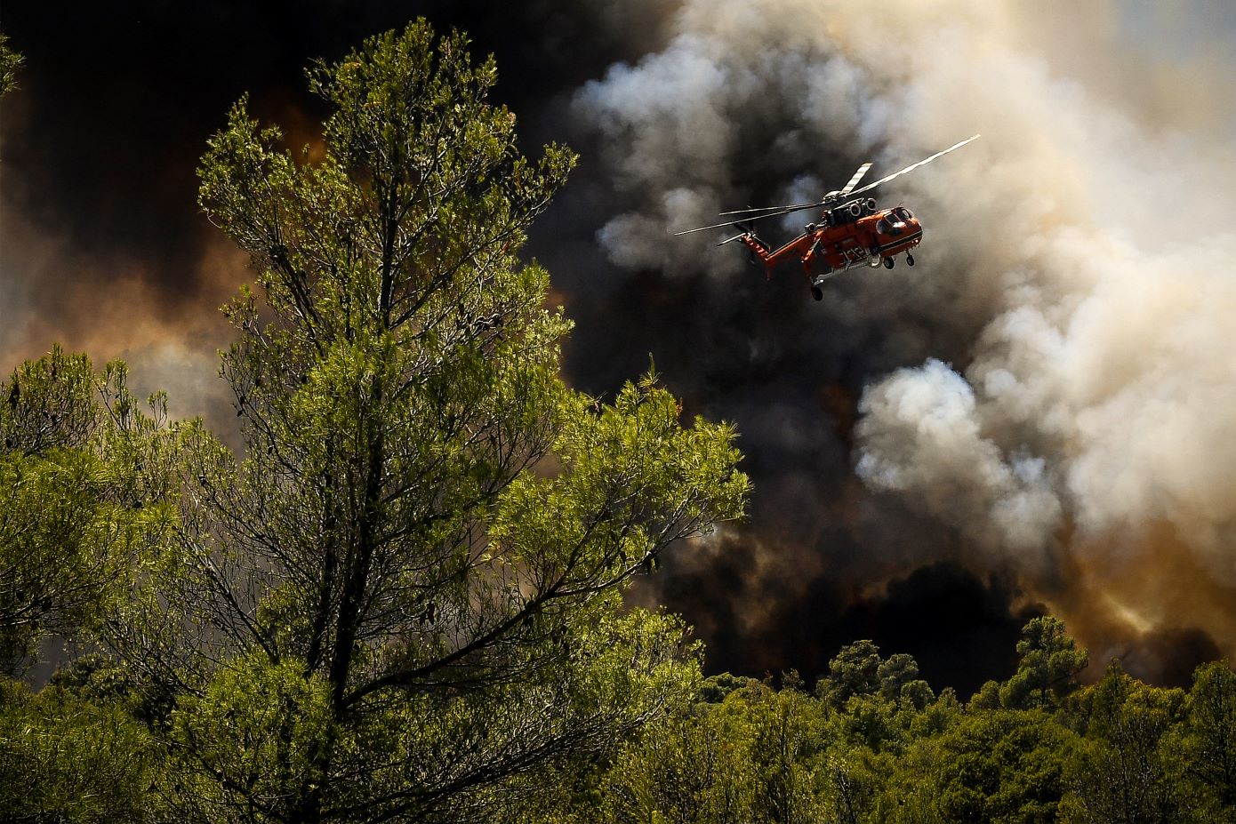 Φωτιά σε δασική έκταση στην Ξάνθη με μεγάλη κινητοποίηση δυνάμεων