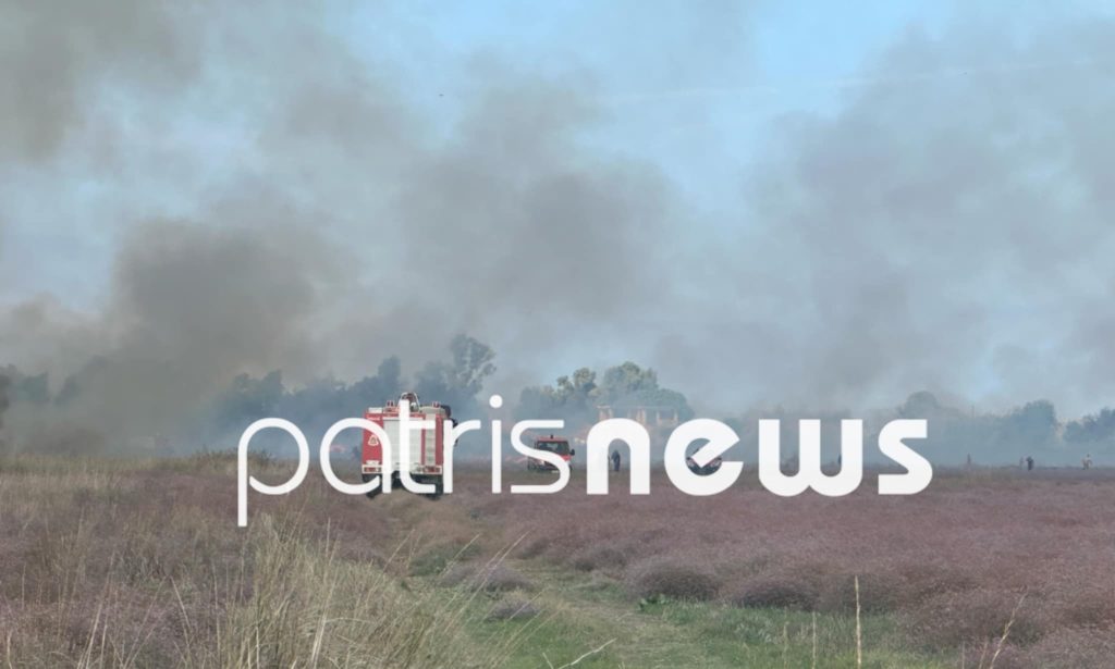 Φωτιά στην περιοχή Μπρίνια Μανωλάδας το μεσημέρι της Πέμπτης