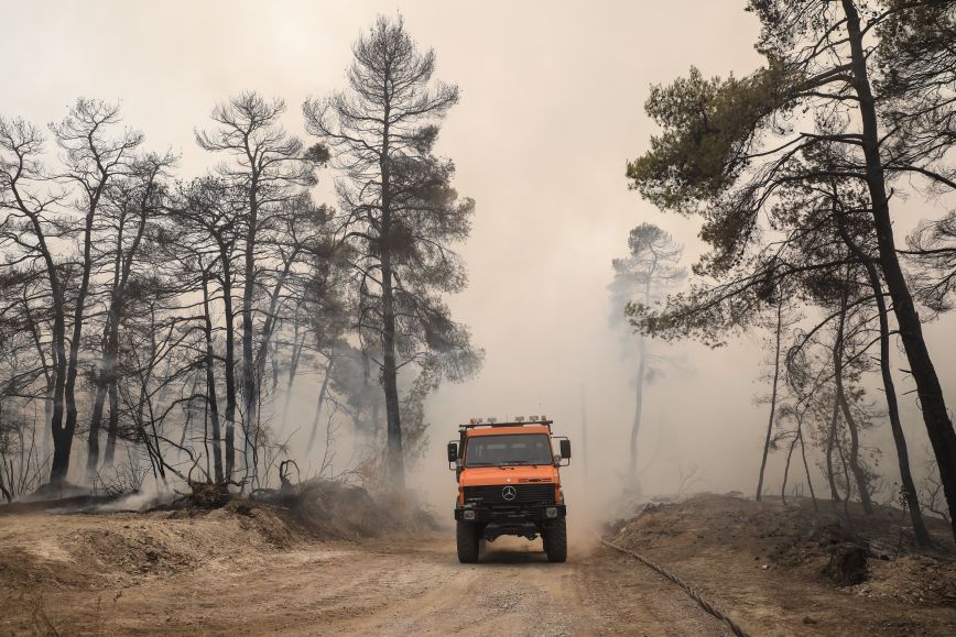 Φωτιά σε Δασική Έκταση στην Κω με Σημαντική Επιστρατευση Πυροσβεστικών Δυνάμεων