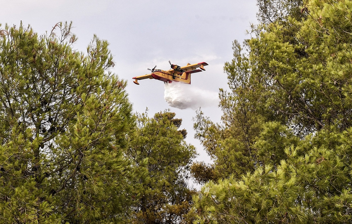 Φωτιά στην αγροτοδασική έκταση Κοκκινόβραχου Φθιώτιδας με μεγάλη κινητοποίηση πυροσβεστικών δυνάμεων