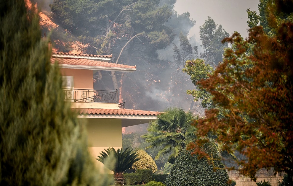 Φωτιά σε δασική έκταση στην Ηλεία με ισχυρές δυνάμεις πυρόσβεσης στο σημείο