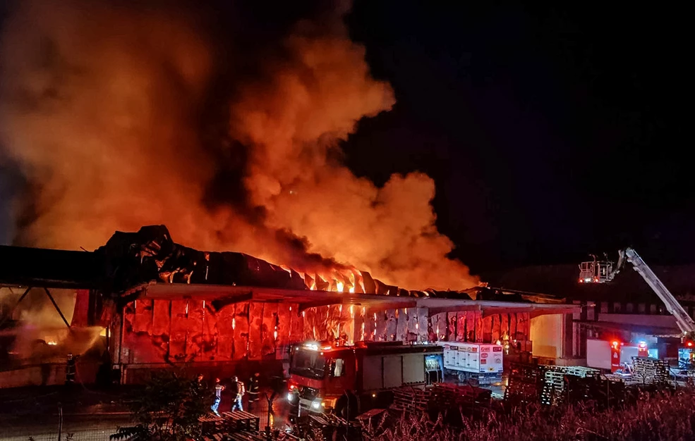 Επαναφορά προμήθειας γευμάτων στο Μουσικό Σχολείο Λαμίας μετά από καταγγελίες για τροφική δηλητηρίαση μαθητών